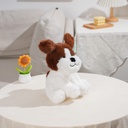 DSC09841