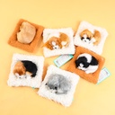 0Y8A5674