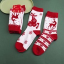 P1042584