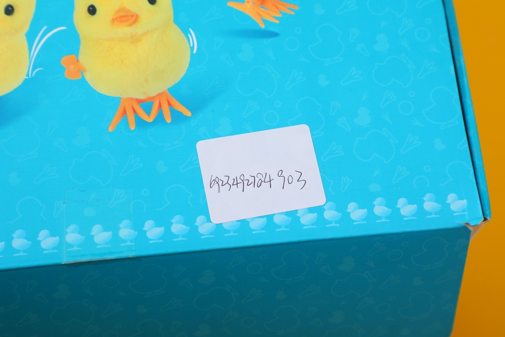 0Y8A8304