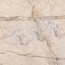 0Y8A0619