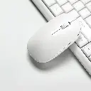 白色.webp