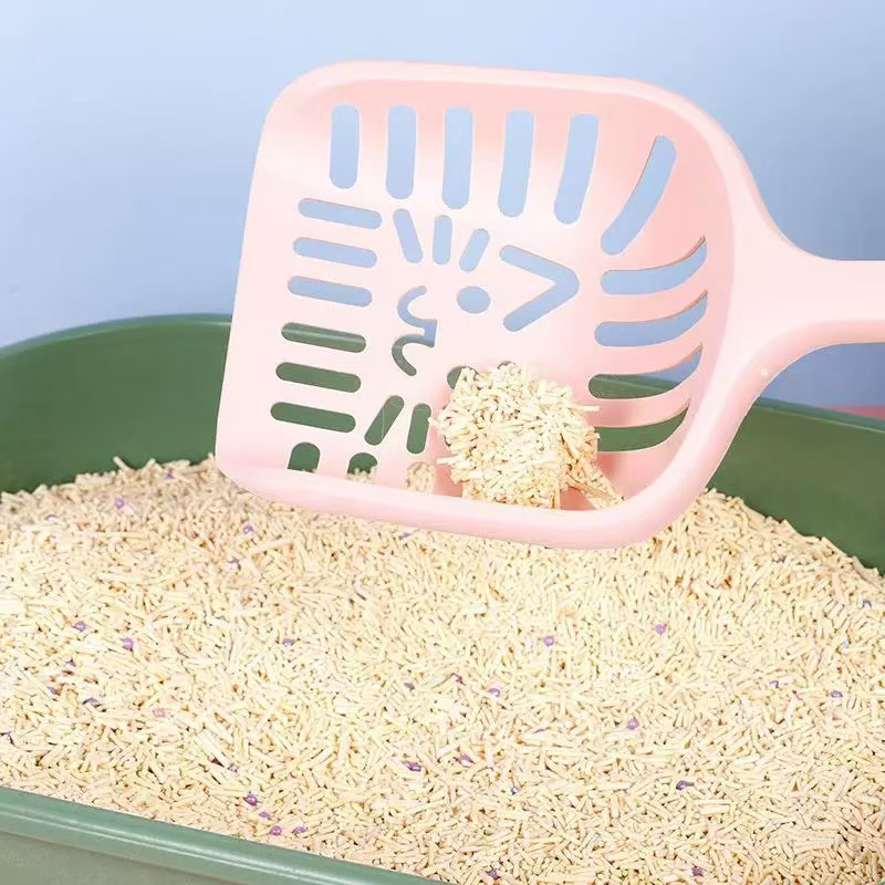 Large Cat Scoop