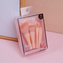 Makeup Series Brush Set 5pcs + Shell Mirror Set