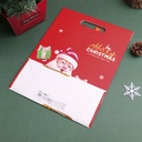 Christmas Series - Santa Claus Gift Bag - Red Size L