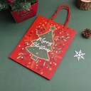 Christmas Series - Christmas Tree Gift Bag Size L
