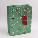 Christmas Series - Green Candy Gift Bag