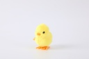 L0812 Jumping chick