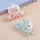 Starfish Acrylic Claw Clip