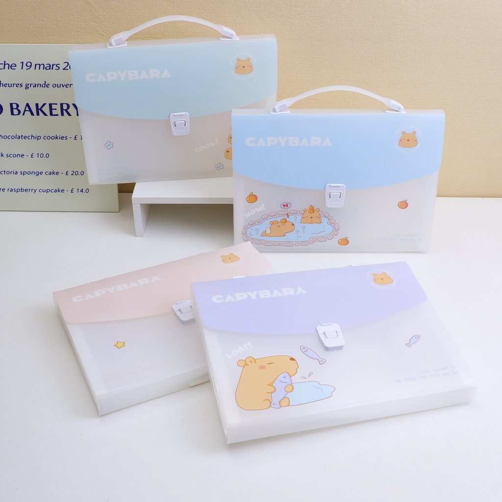 Capybara (13 PCS expanding folder)