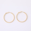 Frosted circle earring-large