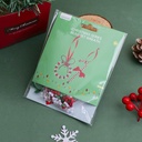 DIY Christmas Series - Bead Set - Wreath