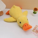Large charging duck dog toy