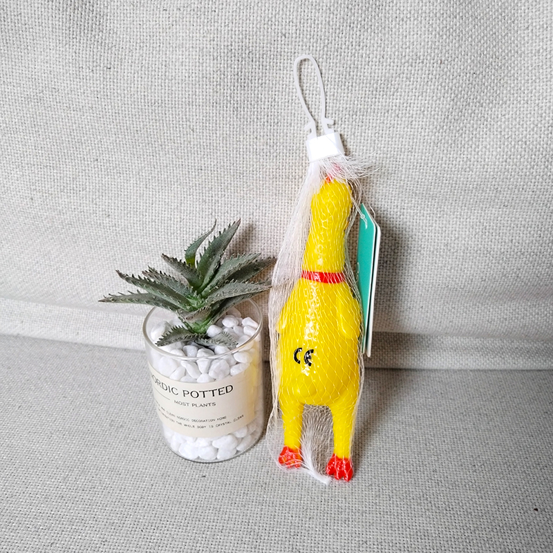 Small chicken screaming toy