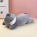 YOYO cat life diary series-lying grey ca