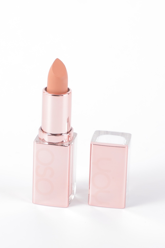 Soft mist lipstick-08 nude orange
