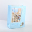 Flipped vertical gift bag-M