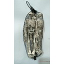 Skeleton 4 Pcs Set