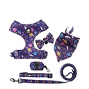 Large purple outer space 6pcs set