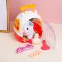 Multi-functional kitten pet cabin portab